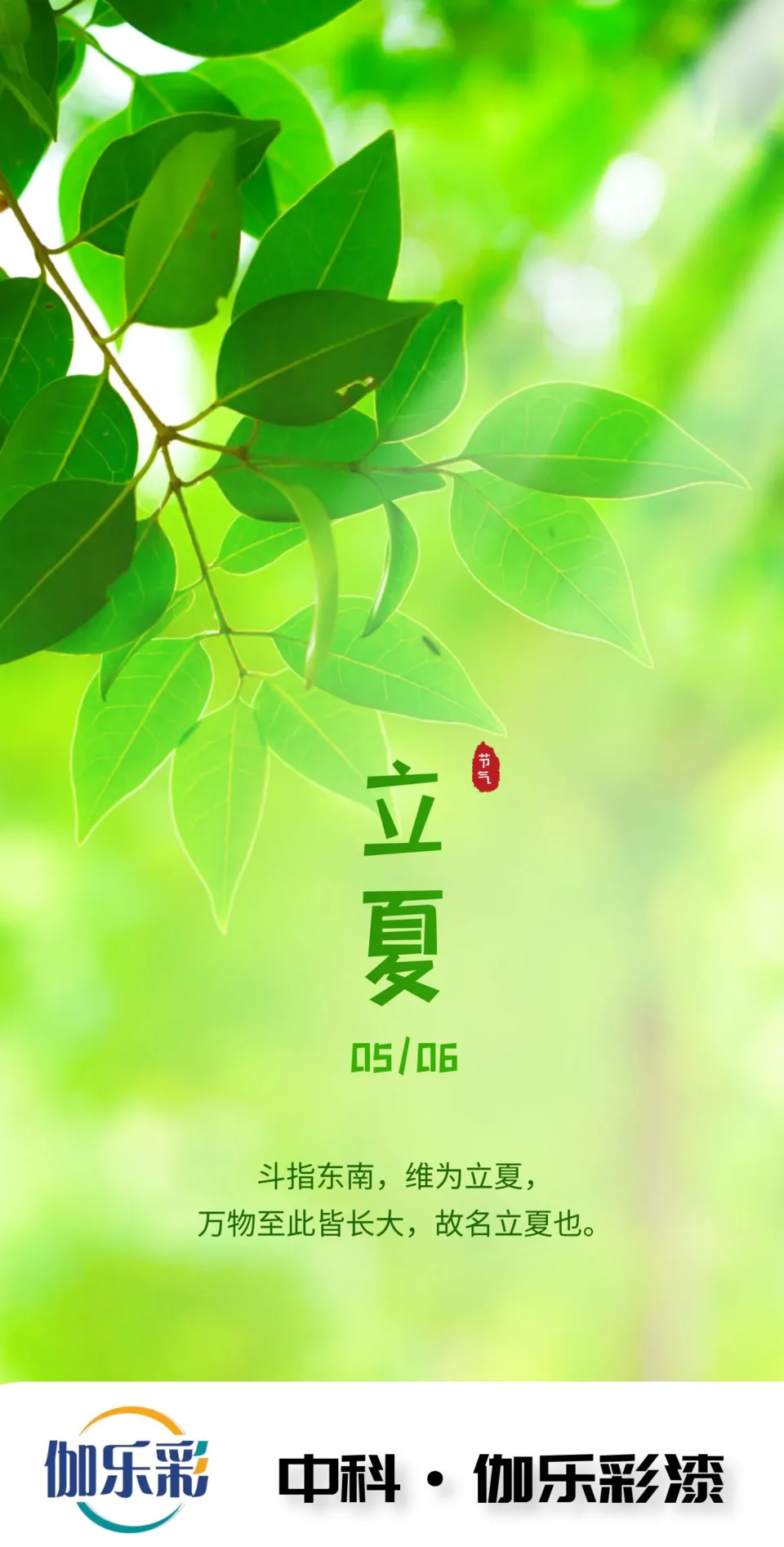 今日立夏|盛夏始 万物长